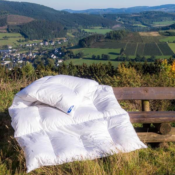 SAUERLÄNDER 4-Kammerbett KOMFORT